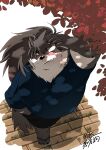  absurd_res anthro autumn buruukoori canid canine canis clothing domestic_dog eyebrows footwear fur hair hi_res lifewonders male mammal multicolored_body multicolored_fur musclegut pecs pink_eyes ponytail sandals shino_(housamo) shirt solo t-shirt thick_eyebrows tokyo_afterschool_summoners topwear two_tone_body two_tone_fur video_games 