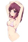  1girl armpits arms_up bikini breasts collarbone covered_nipples highres long_hair looking_at_viewer machikado_mazoku mel_(melty_pot) navel purple_eyes purple_hair simple_background small_breasts solo swimsuit wet white_background yoshida_ryouko 