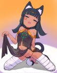  1girl :d animal_ear_fluff animal_ears aqua_eyes armlet bandaged_leg bandages bangs bare_shoulders black_hair black_panties blunt_bangs blush breasts cat_ears cat_tail clothes_lift collar dark-skinned_female dark_skin eyebrows_visible_through_hair eyeliner facial_mark hayanye highres kneeling lifted_by_self loincloth long_hair looking_at_viewer makeup navel original panties pelvic_curtain pelvic_curtain_lift see-through side-tie_panties small_breasts smile smug solo tail underwear 