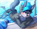  anthro band-aid bandage blush canid canine clothed clothing collar hald_(manadezimon) hi_res male mammal manadezimon solo swimming_goggles swimming_pool topless water water_bottle wet 
