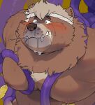  2021 anthro belly blush bodily_fluids bound brown_body brown_fur fur goro_(live-a-hero) hi_res kemono lifewonders live-a-hero male mammal moobs nipples overweight overweight_male quanjiang solo tears tentacles ursid video_games 