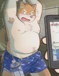  2021 absurd_res anthro armpit_hair belly blush bodily_fluids body_hair bound canid canine canis cellphone clothing domestic_dog hi_res inside kemono male mammal moobs nipples overweight overweight_male phone smartphone solo_focus sweat tmnt_omawari3 underwear 