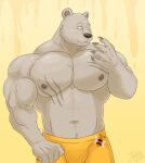  2021 absurd_res anthro arthropod beastars bee biceps body_scars bottomwear brown_bear brown_body claws clothing grizzly_bear hi_res hymenopteran insect jabuhusky male mammal muscular muscular_anthro muscular_male pecs riz_(beastars) scar shorts simple_background solo ursid ursine yellow_clothing 
