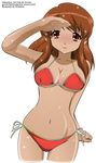  asahina_mikuru bikini cleavage signed suzumiya_haruhi_no_yuuutsu swimsuits vector 