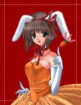  animal_ears bunny_ears nishimata_aoi tagme 
