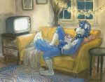  2019 anthro bedding beverage blanket blue_fur bulge canid canine canis claws clothing detailed_background digital_media_(artwork) domestic_dog fur hair looking_back male mammal sicklyhypnos smile sofa tea television 
