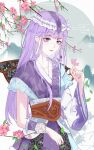  1girl asymmetrical_sleeves branch bug butterfly flower hair_ornament highres leaf long_hair purple_eyes purple_hair qin_shi_ming_yue sash shao_siming_(qin_shi_ming_yue) shao_siming_guang_wei smile 