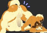  1boy abs absurdres animal_ears anus arm_rest ass bara barrel_(live_a_hero) beige_fur brown_fur censored dog_boy dog_ears dog_tail dotsu_(wtnbkwiyd) erection flexible foreskin furry furry_male highres jack-o&#039;_challenge large_pectorals large_penis live_a_hero looking_at_viewer male_focus mosaic_censoring mouse_(computer) multiple_views muscular muscular_male nipples orange_fur pectorals penis short_hair sideburns smile smug spread_legs stomach tail tail_raised thick_thighs thighs top-down_bottom-up wide_spread_legs 