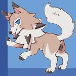 1:1 animal_genitalia animal_pussy anus blep blue_background blue_eyes brown_body brown_fur canid canine_pussy claws digitigrade female feral feralsoren finger_claws fur genitals looking_at_viewer lycanroc mammal midday_lycanroc nintendo pok&eacute;mon pok&eacute;mon_(species) pussy quadruped raised_tail simple_background solo toe_claws tongue tongue_out video_games white_body white_fur 