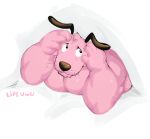  absurd_res anthro anthrofied canid canine canis cartoon_network courage_the_cowardly_dog courage_the_cowardly_dog_(character) domestic_dog fur hi_res lipeuwu male mammal overweight pink_body pink_fur solo through_wall 