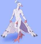  &lt;3 absurd_res anthro asurii avian beak biped bird claws colored_nails curtsy erection feathered_tail feathers galliform genitals hi_res humanoid_genitalia humanoid_penis male nails no_navel nude peafowl penis phasianid pink_body pink_claws pink_eyes pink_penis pink_scales pose presenting presenting_penis scales simple_background slim slim_male solo songbird_(tiso) standing talons toe_claws white_body white_feathers 