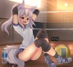  1girl absurdres animal_ear_fluff animal_ears arms_behind_head bangs black_legwear buruma elbow_sleeve fangs grey_hair gym gym_uniform high_tops highres hotel01 long_hair on_floor open_mouth orange_eyes original ponytail purple_buruma shoes sitting solo tail volleyball 