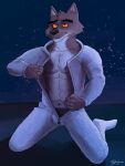  2021 absurd_res animal_costume anthro azzarash canid canine canis clothing costume dreamworks hi_res looking_at_viewer male mammal mr._wolf_(the_bad_guys) muscular muscular_anthro muscular_male night_sky plantigrade solo star the_bad_guys underwear undressing white_clothing wolf 