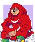  anthro balls biceps blush clothing echidna erection footwear genitals humanoid_genitalia knuckles_the_echidna lewdookami male mammal monotreme muscular muscular_male red_body sega shoes solo sonic_the_hedgehog_(series) 