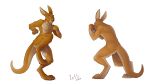  2016 absurd_res anthro hi_res iztli kangaroo macropod male mammal marsupial red_eyes signature simple_background solo standing white_background 