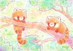  :&lt; ;3 ;d animal animal_focus artist_name bisquii branch chibi closed_mouth colorful forest hanging nature no_humans one_eye_closed open_mouth original painting_(medium) panda red_panda smile sparkle traditional_media tree watercolor_(medium) 