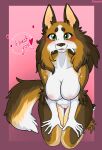  4322chan anthro big_breasts blush blush_lines border_collie breasts brown_body brown_fur canid canine canis collie domestic_dog female fur green_eyes herding_dog hi_res looking_at_viewer mammal naturally_censored nude pastoral_dog sheepdog simple_background smile smiling_at_viewer solo speech_bubble tan_body tan_fur 