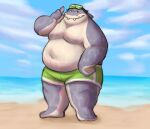  2021 absurd_res anthro beach belly clothing dreamworks fish grey_body hi_res justshu male marine moobs mr._shark_(the_bad_guys) outside overweight overweight_male seaside shark solo swimwear the_bad_guys water 