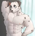  abs anthro black_body black_eyes black_fur black_nose canid canine canis dalmatian domestic_dog fur hi_res jrjresq male mammal muscular nipples white_body white_fur 