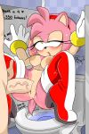  absurd_res amy_rose bathroom eulipotyphlan female genitals hedgehog hi_res mammal nude penetration penis public public_bathroom public_restroom public_sex pussy restroom_stall sega sex sirenslut sonic_the_hedgehog_(series) toilet_seat vaginal vaginal_penetration 