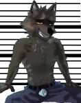  2021 absurd_res anthro belt black_belt black_eyebrows black_nose blue_bottomwear blue_clothing blue_pants bottomwear brown_body brown_fur canid canine canis chart cheek_tuft chest_tuft clothed clothing digital_drawing_(artwork) digital_media_(artwork) dreamworks eyebrows facial_tuft fur grin half-closed_eyes head_tuft height_chart hi_res male mammal mr._wolf_(the_bad_guys) narrowed_eyes open_bottomwear open_clothing open_pants pants sitting smile solo tan_body tan_fur the_bad_guys topless tuft wolf zarrty 