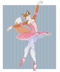  alex_(disambiguation) anthro ballerina ballet bottomwear bulge canid canine clothed clothing crossdressing dancewear embarrassed fox genital_outline hi_res kumir legwear male mammal shy skirt solo tight_clothing tights tutu 