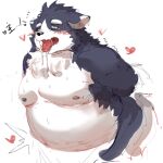  &lt;3 ahegao anthro belly blush canid canine canis domestic_dog fenrir_shino fur grey_body grey_fur harima looking_pleasured male mammal moobs nipples overweight solo tamacolle white_belly 