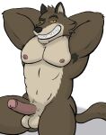  anthro armpit_hair balls big_balls big_penis body_hair brown_body brown_fur butt canid canine canis eyebrows foreskin fur genitals grin horny_(disambiguation) huge_penis invalid_tag male male/male mammal mr._wolf_(the_bad_guys) muscular nanoff nipples pecs penis smile solo tail the_bad_guys thick_eyebrows wolf wolf_tail 