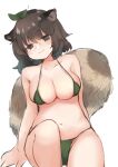  1girl :3 animal_ears bangs bikini breasts brown_eyes brown_hair cleavage closed_mouth futatsuiwa_mamizou glasses green_bikini leaf leaf_on_head looking_at_viewer navel raccoon_ears raccoon_girl raccoon_tail sen1986 short_hair simple_background smile solo swimsuit tail touhou white_background 