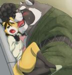  2021 anthro black_nose blush canid canine carrying clothing duo eyes_closed eyewear fox fur glasses grey_body grey_fur hi_res humanoid_hands jinbei_(clothing) kemono licking male mammal mature_male o_miso_n overweight overweight_male raccoon_dog size_difference sweater tanuki tongue tongue_out topwear underwear 