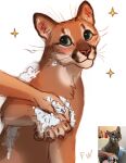  2021 ambiguous_gender claws cougar digital_media_(artwork) felid feline feral flashw green_eyes looking_at_viewer mammal paws smile 