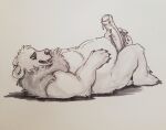  anatomically_correct animal_genitalia animal_penis anthro black_and_white brown_bear chubby_anthro chubby_male claws erection genitals grizzly_bear hair jerking kuruk_(character) leaking leaking_pre leaking_precum male mammal mane mane_hair masturbation monochrome nails otherwords pawpads penis sketch slightly_chubby solo ursid ursine ursine_penis 