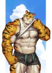  abs anthro biceps big_muscles clothed clothing felid fur hi_res male mammal muscular muscular_anthro muscular_male nipples pantherine tiger traver009 veiny_muscles 