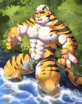  absurd_res anthro felid feline hi_res male mammal pacopann pantherine rawn solo tiger 