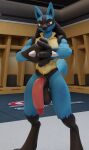  anthro balls big_penis blender_(software) blue_body blue_fur canid canine digital_media_(artwork) flaccid fur genitals gym hi_res looking_at_viewer lucario male mammal nintendo nude penis pok&eacute;mon pok&eacute;mon_(species) solo twintails3d video_games 