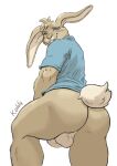  anthro backsack balls blush bottomless butt clothed clothing genitals hi_res kahlu lagomorph leporid looking_at_viewer male mammal partially_clothed penis penis_base rabbit rear_view shirt simple_background solo topwear white_background 