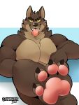  2021 3:4 anthro barefoot big_muscles blue_background canid canine canis claws convenient_censorship dreamworks eyebrows feet foot_focus fur hi_res looking_at_viewer male mammal mr._wolf_(the_bad_guys) muscular muscular_anthro muscular_male narrowed_eyes nude pawpads pecs schwarzfox signature simple_background sitting smile solo teeth the_bad_guys tongue tongue_out tuft white_background wolf 