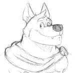  adastra adastra_(series) amicus_(adastra) anthro brooch calzone_(artist) canid canine canis cape clothing echo_project facial_piercing labret_piercing lip_piercing male mammal piercing simple_background sketch smile solo video_games visual_novel wolf 