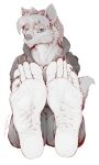  5_toes anthro barefoot canid canine canis claws clothed clothing feet foot_focus hi_res hoodie kredri looking_at_viewer male mammal shoulder_guards soles solo toe_claws toes topwear wolf wrinkled_feet 