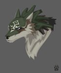  2017 ambiguous_gender blue_eyes brown_body brown_fur canid canine canis fur green_body green_fur grey_background headshot_portrait hi_res link_(wolf_form) mammal nintendo portrait simple_background solo the_legend_of_zelda video_games white_body white_fur wolf wolfdawg 