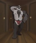  2020 anthro badger belly black_body black_nose bulge clothing dippubear hi_res humanoid_hands jockstrap male mammal moobs mustelid musteline nipples overweight overweight_male solo underwear white_body 