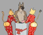  anthro brutus_(pixie_and_brutus) butt canid canine canis christmas christmas_clothing christmas_present clothing domestic_cat domestic_dog excited exclamation_point felid feline felis female fran_(litterbox_comics) genitals german_shepherd gift herding_dog holidays lion litterbox_comics male mammal mature_anthro mature_female pantherine pastoral_dog penis pixie_and_brutus ribbons smile stupidgnoll webcomic 