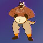  2020 anthro belly brown_body bulge canid canine canis clothing dippubear domestic_dog drop_shadow gradient_background hi_res hoodie humanoid_hands jockstrap male mammal navel overweight overweight_male simple_background solo topwear underwear 