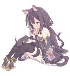  1girl animal animal_ear_fluff animal_ears bangs bare_shoulders black_cat black_hair black_legwear black_sleeves blade_(galaxist) blush boots breasts brown_footwear cat cat_ears cat_girl cat_tail detached_sleeves eyebrows_visible_through_hair feeding food frilled_skirt frills full_body green_eyes grey_hair hair_between_eyes high_heel_boots high_heels holding holding_food karyl_(princess_connect!) knees_up long_hair long_sleeves low_twintails multicolored_hair onigiri princess_connect! purple_skirt shadow shirt sitting skirt sleeveless sleeveless_shirt small_breasts solo streaked_hair tail thighhighs twintails very_long_hair white_background white_shirt wide_sleeves 