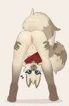  2021 anthro bottomless breasts bubblypears butt clothed clothing female genitals hi_res looking_at_viewer mistysnugglebug open_mouth presenting presenting_hindquarters pussy red_clothing red_topwear simple_background solo species_request surprise topwear white_background 
