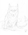  ambiguous_gender canid canine canis emberwolf feral hi_res mammal monochrome quadruped raining sketch solo tagme wolf wolfdawg 