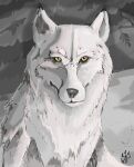  2017 amber_eyes ambiguous_gender canid canine canis emberwolf feral fur headshot hi_res mammal monotone_body monotone_fur restricted_palette snow solo tagme white_body white_fur winter wolf wolfdawg 