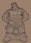  2021 anthro belly clothing dippubear hi_res humanoid_hands hyaenid male mammal mature_male overweight overweight_male shirt simple_background solo text text_on_clothing text_on_shirt text_on_topwear topwear underwear 