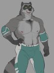  2021 anthro biped bottomwear bulge clothing grey_body horrorbuns humanoid_hands male mammal muscular muscular_male nipples pants procyonid raccoon simple_background solo 