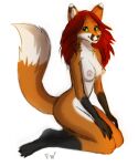  2021 anthro areola breasts canid canine digital_media_(artwork) female flashlioness fox green_eyes hair kneeling looking_at_viewer mammal nipples nude paws red_hair simple_background smile white_background 